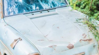 Eco-Friendly Car Scrapping: How It Helps the Environment